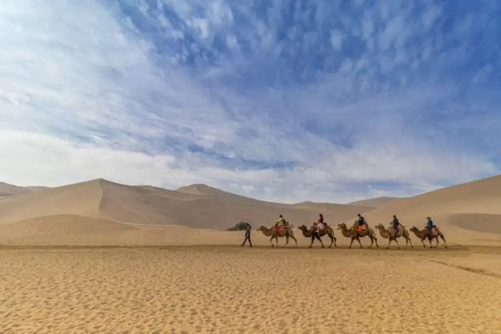 group-people-camels-desert