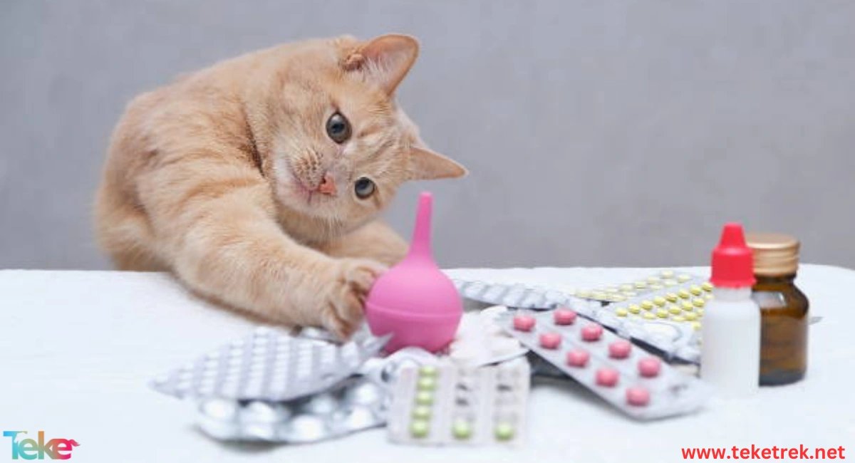 Pet Medicines