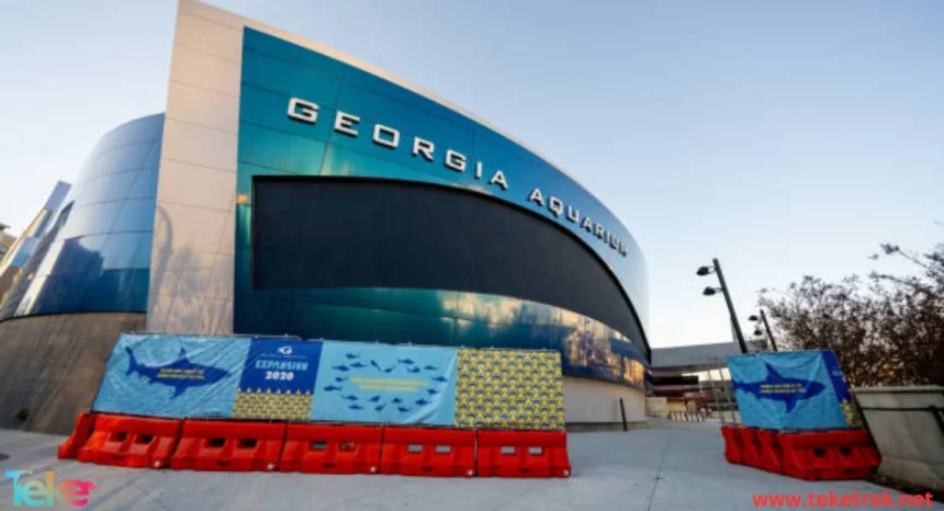 Georgia Aquarium