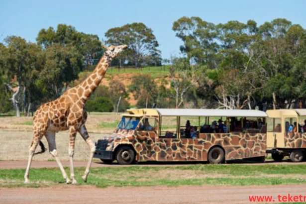 حديقة حيوان Werribee Zoo