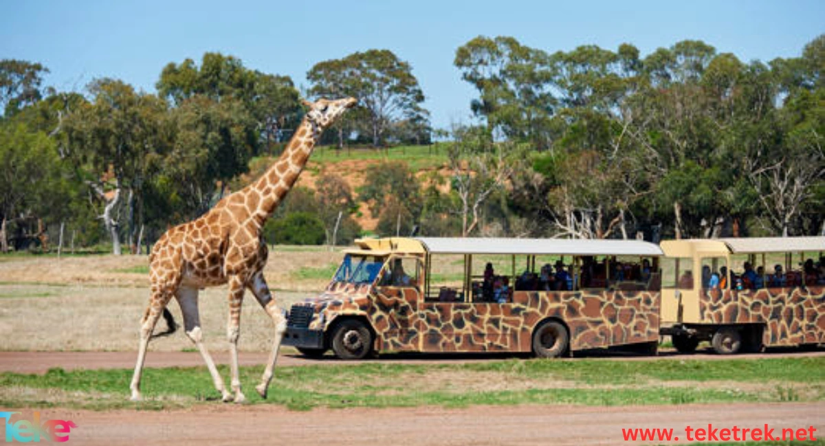 حديقة حيوان Werribee Zoo