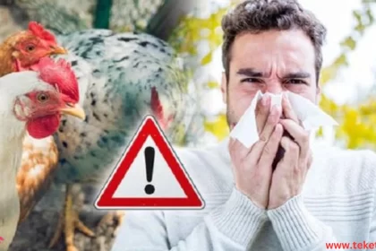 Bird Flu Symptoms