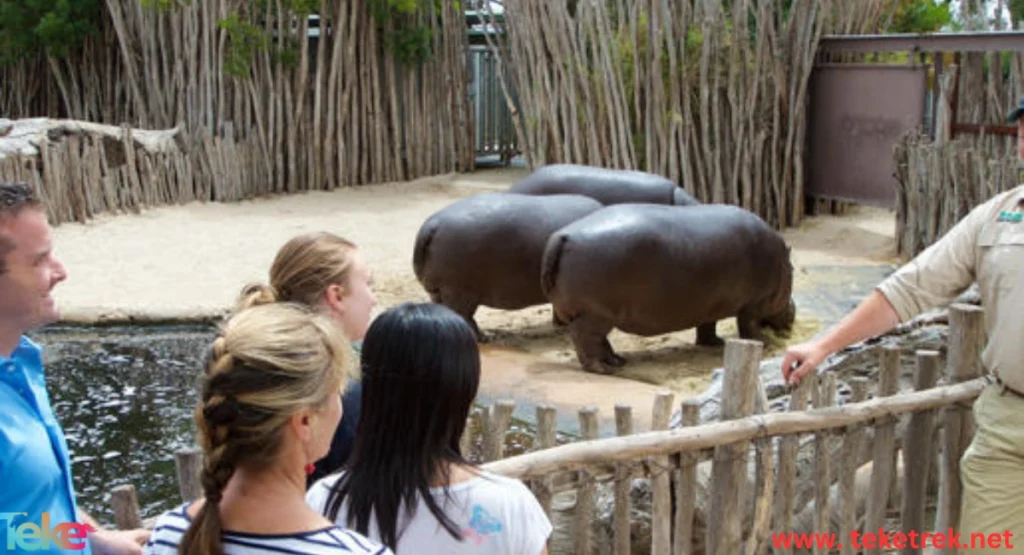 حديقة حيوان Werribee Zoo