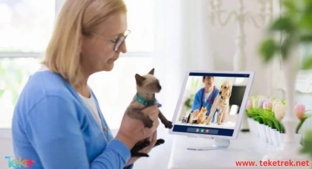 Online Veterinary Clinic