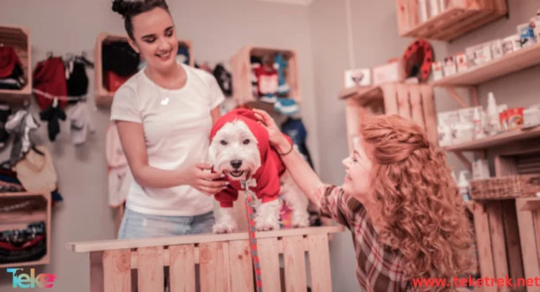 Pet Store