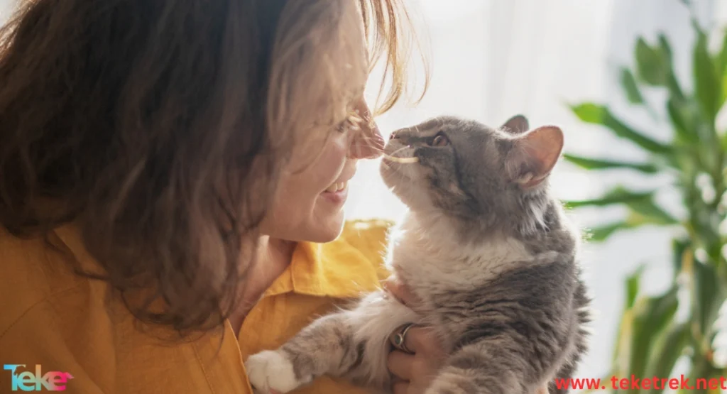 Why Does a Cat Lick Its Owner’s Face