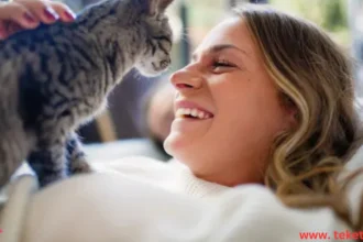 Why Does a Cat Lick Its Owner’s Face